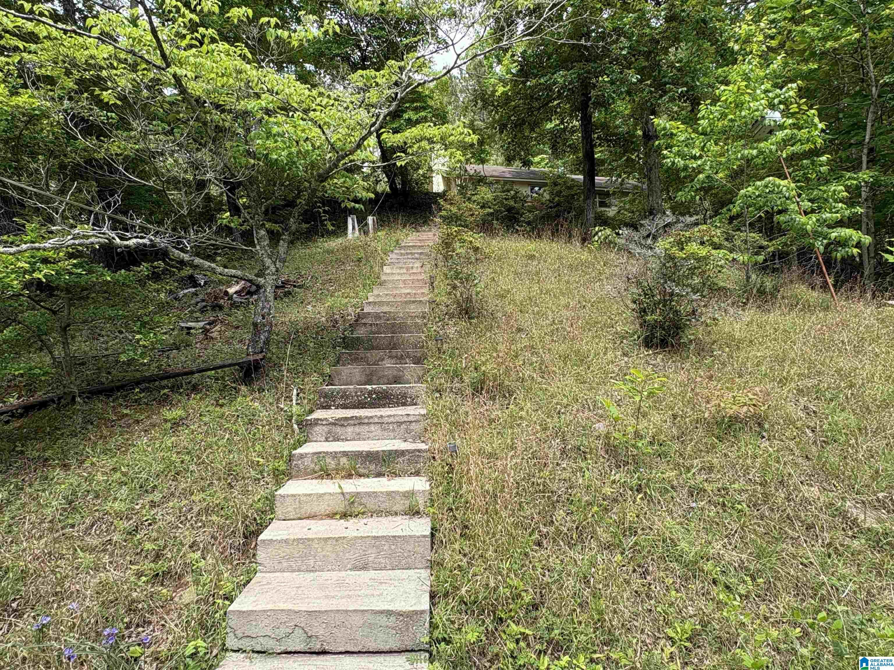 Image 1: Yard