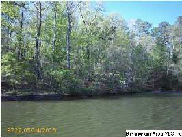 Lot 54 BOB WHITE DR