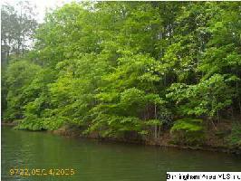 Lot 8 BLUEBIRD DR