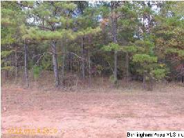 CO RD 4315 Lot 1