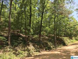 Lot 5.4 Acres CO RD 708