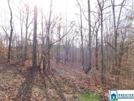 Lots 36-40, 28 acres CO RD 214