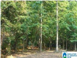 660 COUNTY ROAD 181