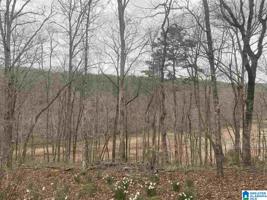 Lot 44 POINTE SOUTH DRIVE