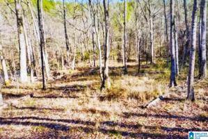 Lot 57 COUNTY ROAD 8