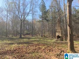Lot 52 Ac CO RD 223