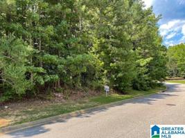 169 HIGHLAND VIEW DRIVE