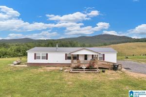 11791 SHOAL CREEK ROAD