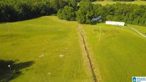 8689 COUNTY ROAD 813