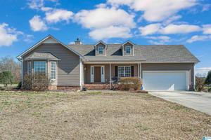 460 COUNTY ROAD 226