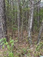 1475 BUDDY VINES CAMP ROAD