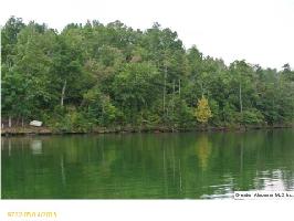 FORTUNE COVE DR Lot 5