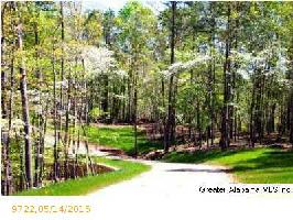 Lot 36 CREEK TRL