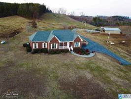5556 CO RD 436