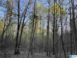 Lot 54&plusmn; Ac HIGHWAY 63