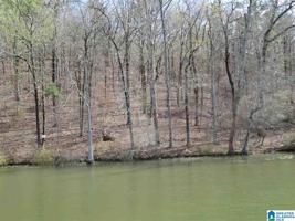 Lot 17 EAGLE POINT TRACE