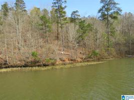 Lot 21 EAGLE POINT TRACE