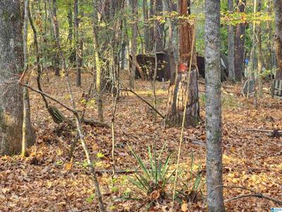 Lot 3 BEAVER COVE ROAD