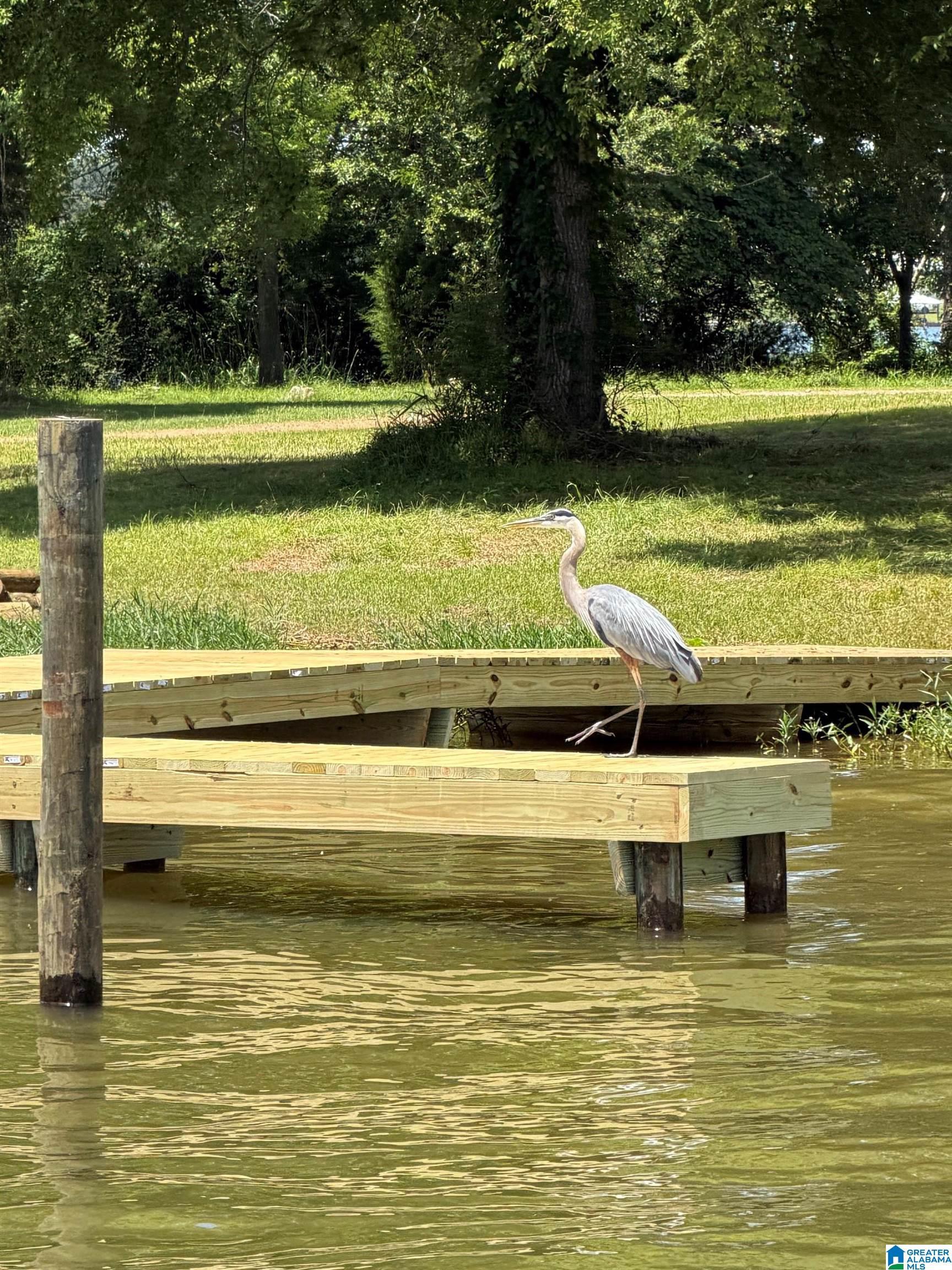 Image 2: Dock