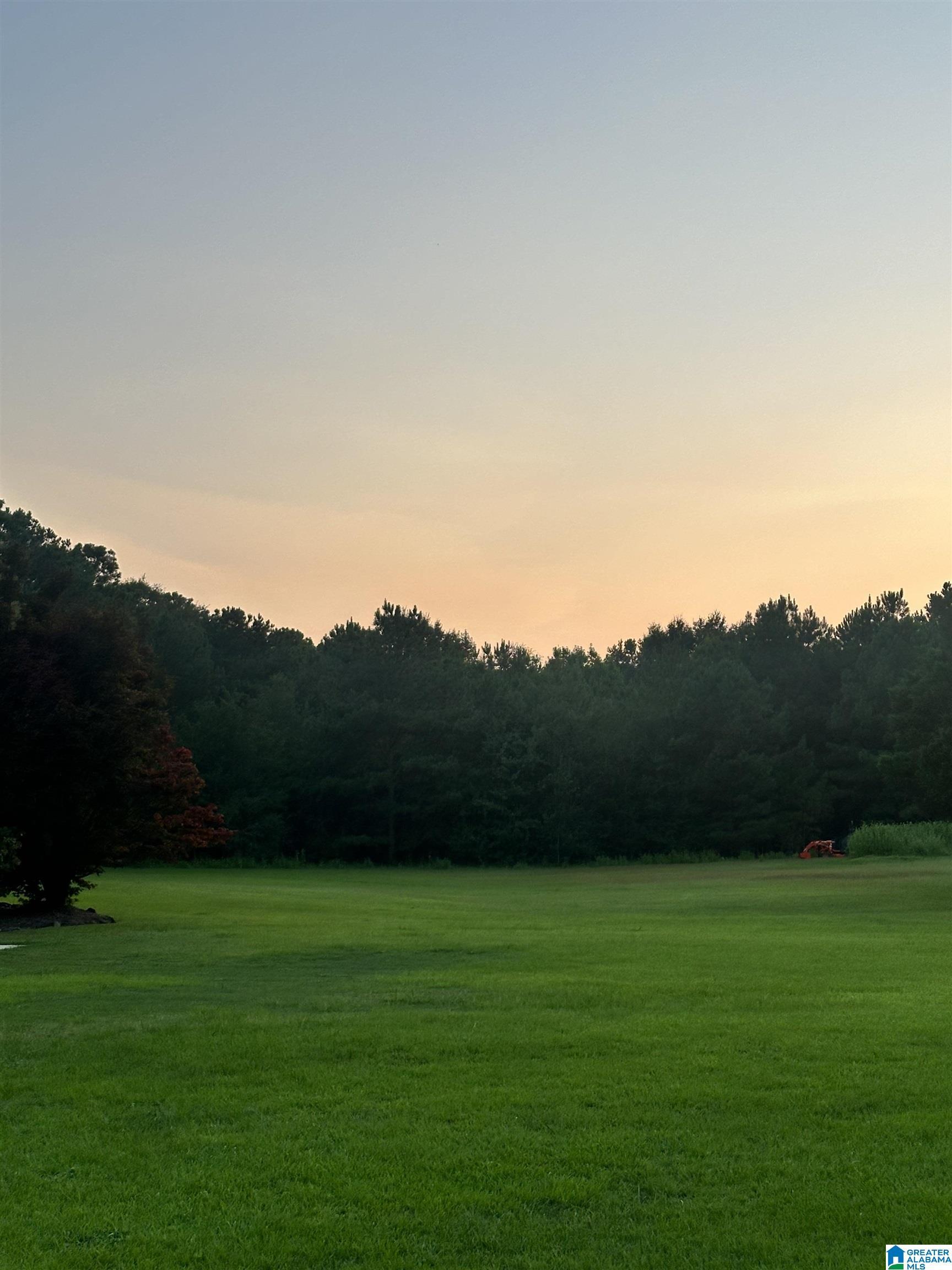 Image 4: Yard