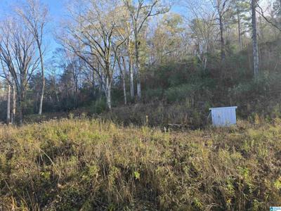 0000 COUNTY ROAD 110