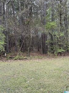 0 BRIDGE CREEK DRIVE