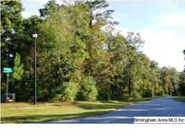 Lot 131 WILD CHERRY PKWY