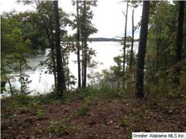 Lot 28 CREEK TRL