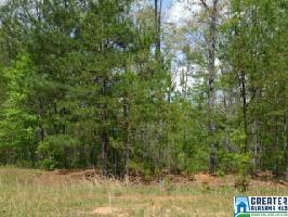 Lot 59, Phase 2 POINTE SOUTH DR