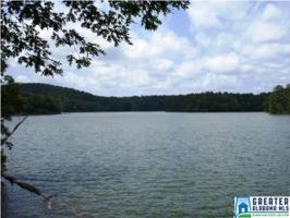 Lot 7 CO RD 9901