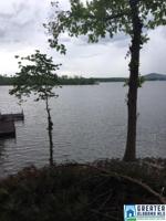 203 DOGWOOD LN