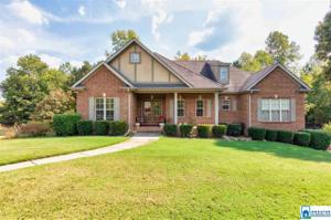 388 DEER RIDGE LN