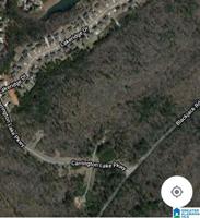 CARRINGTON LAKE PARKWAY