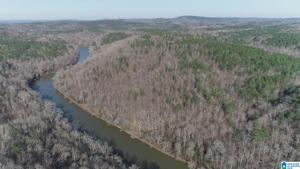 Lot 39 Acres COUNTY ROAD 201