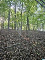 Lot 1 COUNTY ROAD 544