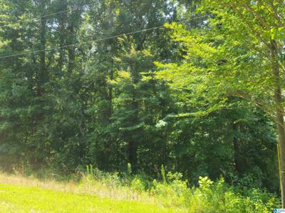 Lot 31 HILLCREST COURT