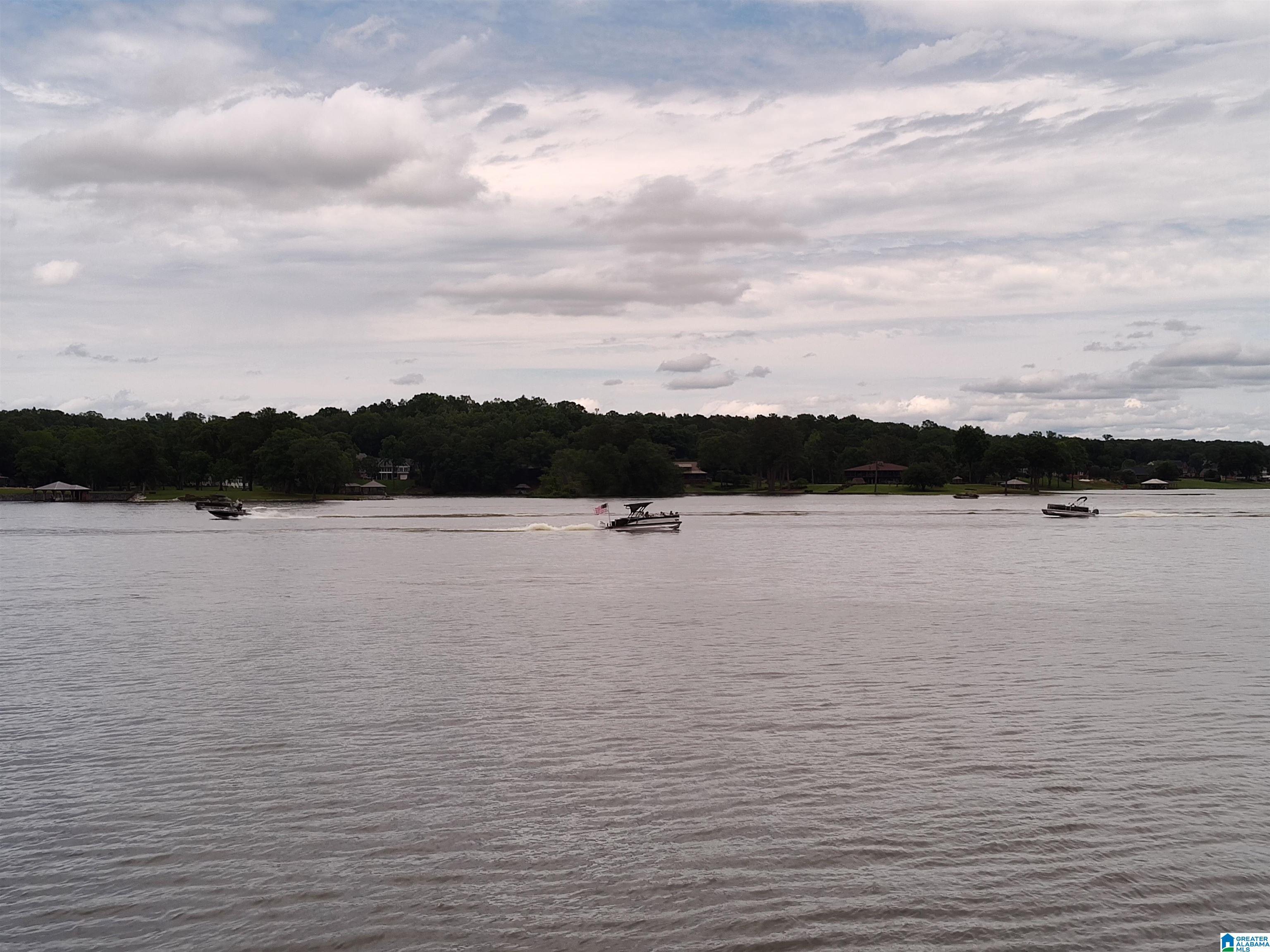 Image 0: Lake view from Lot 7