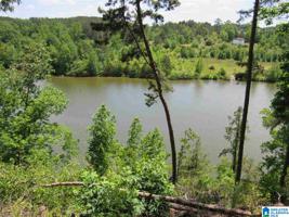 8 Rock Creek COUNTY ROAD 4312