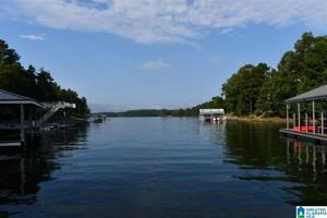 Lot 5 COUNTY ROAD 816