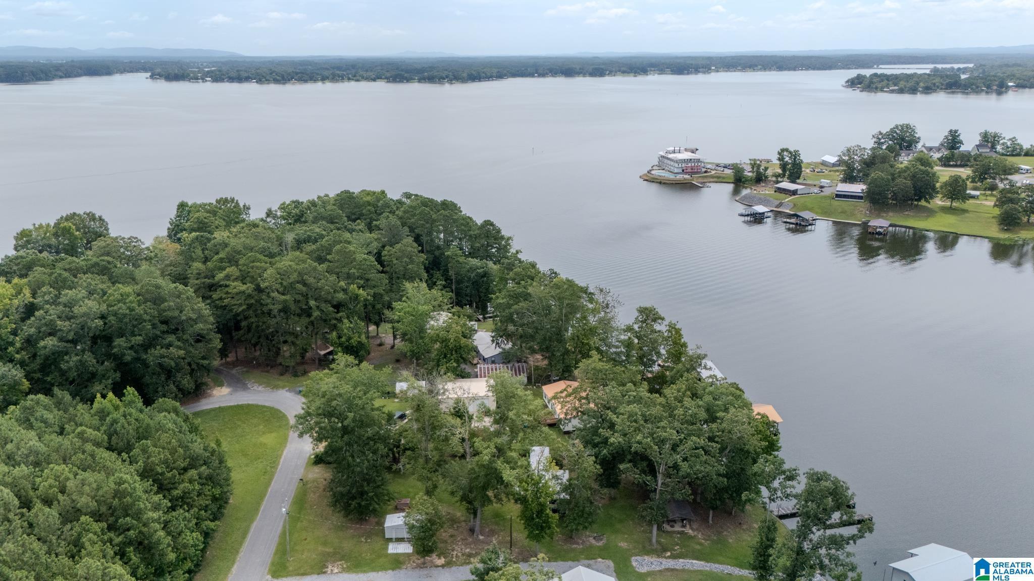 Image 4: Aerial View