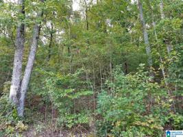 Lot 12 WALDROP ROAD