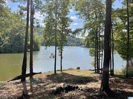 Lot 28 S SHORE DRIVE