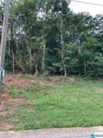 763 CARL RAINES LAKE RD