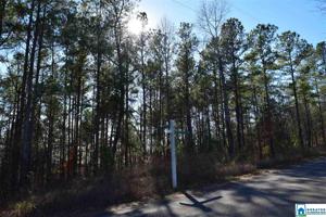 Lot 17 & 18 CO RD 299