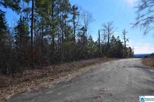 Lot 21 & 22 CO RD 299