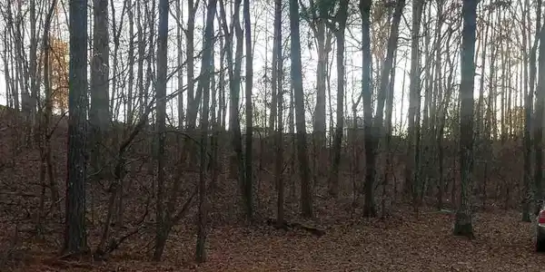 Lot 24 RODNEY DR