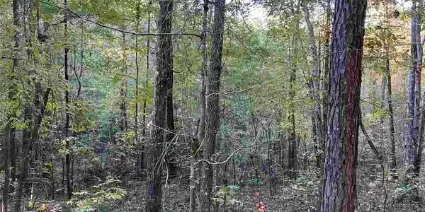 Lot 21 MARTIN DELL DR