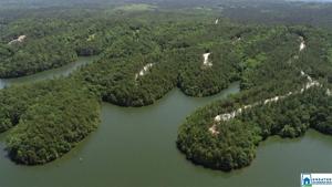 Lot 40 +/- COUNTY ROAD 888