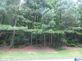 149 HIGHLAND VIEW DRIVE