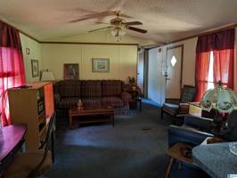 252 SHORES CAMP ROAD